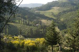 Xtrallusion offers characteristic Bed and Breakfast, B&B, Guest House, Hotel, Albergo and Country Lodge accommodation in Italy. Plus independent self-guided Walking, Adventure, Activity, Skiing and Paragliding Holiday itineraries on the Italian Rivieras, in the Italian Lakes, in the Italian Alps and in some of the most beautiful corners of Italy.